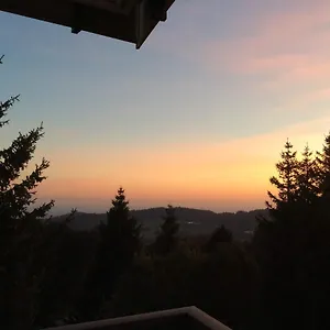 https://wellness-apartment-sankt-englmar.com-bavaria.com